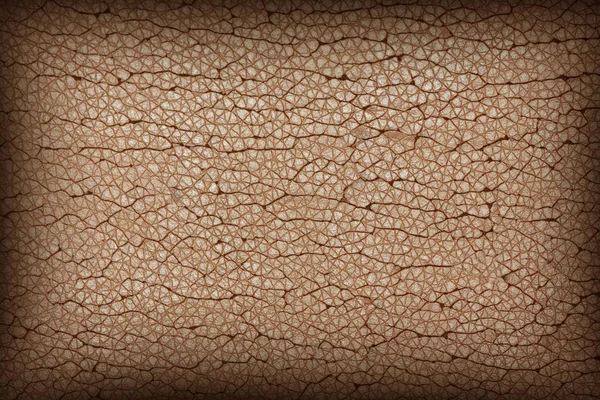 Barna Sérült Szintetikus Bőr Textúra — Stock Fotó