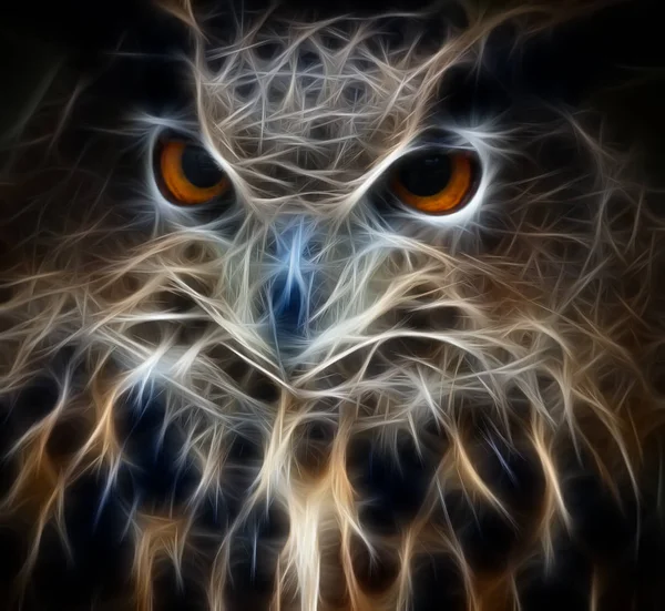 soyut baykuş Başkanı yakın çekim