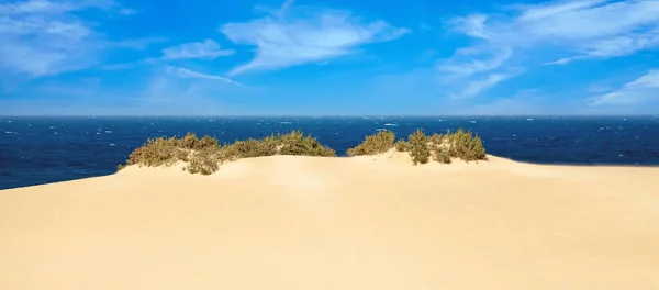 Písečné Duny Corralejo Ostrově Fuerteventura — Stock fotografie