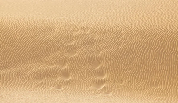 Sable du désert — Photo