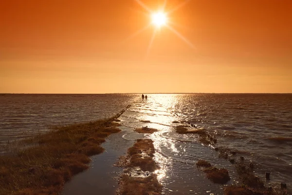 Wadden sea — Stock Photo, Image