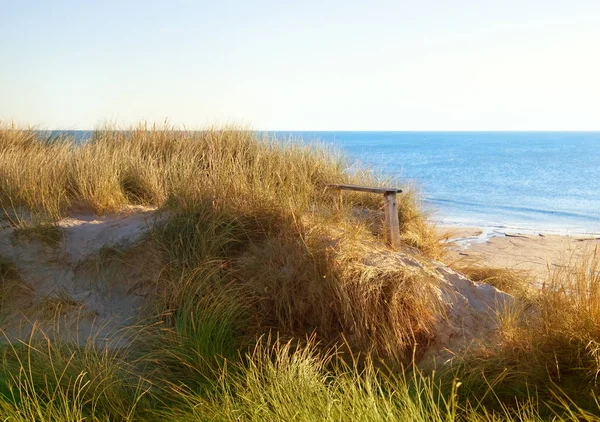 Ławka na wybrzeżu — Zdjęcie stockowe