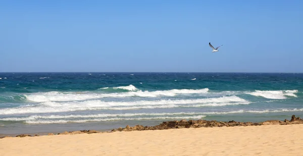 Playa — Foto de Stock