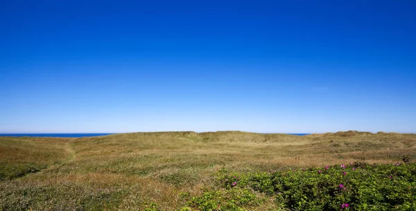 Kustlinje — Stockfoto