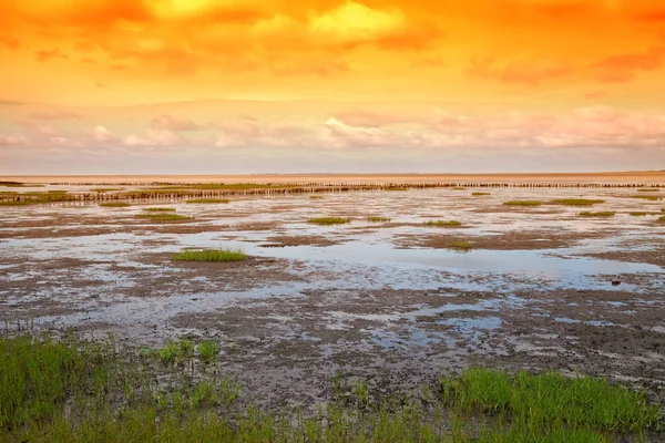 Mar de Wadden — Fotografia de Stock