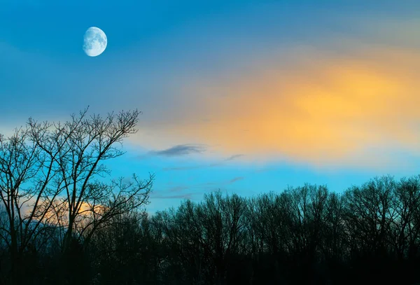 Lua sobre a floresta — Fotografia de Stock