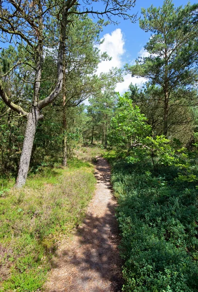 Wanderweg — Stockfoto