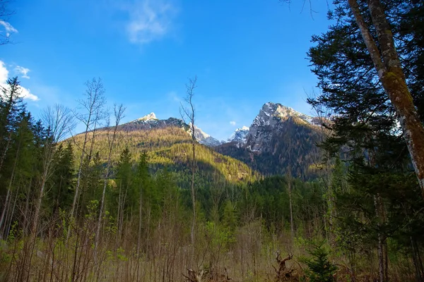 Landschap in de Alpen Rechtenvrije Stockfoto's