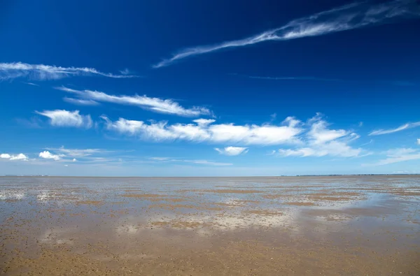 Ваттовое море — стоковое фото