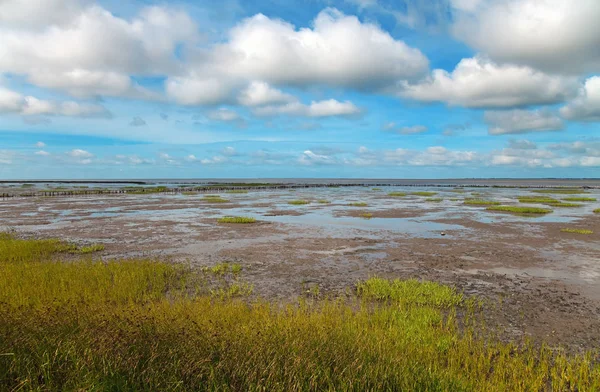 Mar de Wadden — Fotografia de Stock