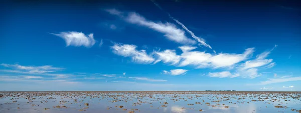 Ваттовое море — стоковое фото