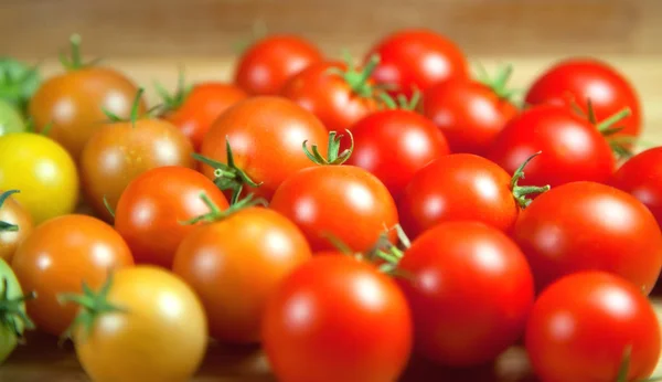 Tomaten — Stockfoto