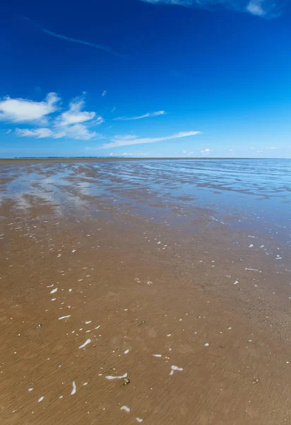 Wadden Denizi — Stok fotoğraf