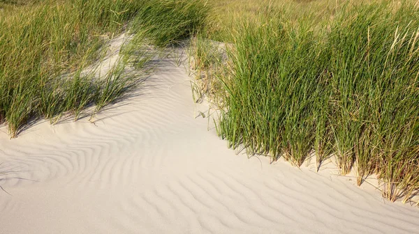 Dune-serien — Stockfoto