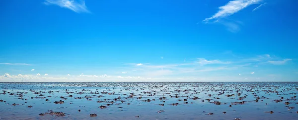 Waddenzee — Stockfoto