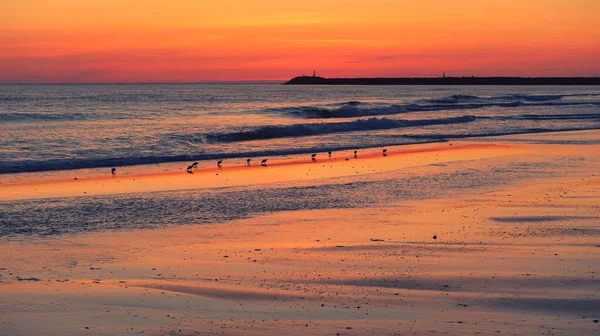 Krásný Západ Slunce Nad Oceánem — Stock fotografie