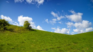 Mavi gökyüzü olan yeşil çayır