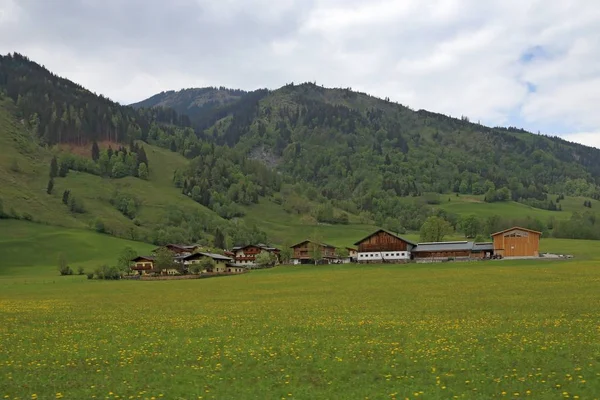 Grossglockner Hochalpenstraße Berglandschaft Österreich — Stockfoto