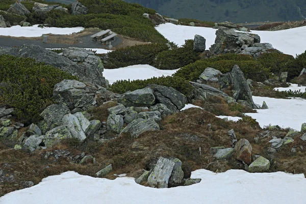 大格洛克纳山高山路 大格洛克纳山 Hochalpenstrasse 高山风景 奥地利 — 图库照片