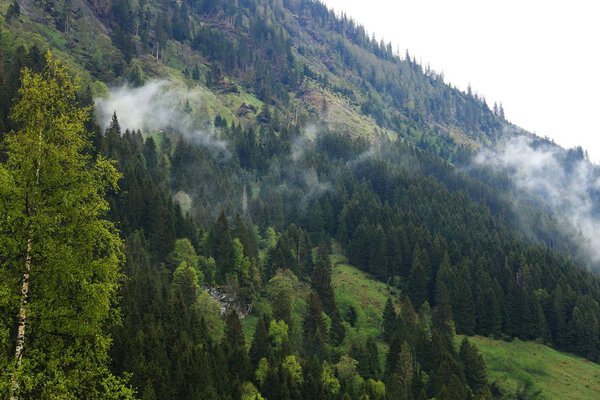 Альпийский горный ландшафт, Австрия
