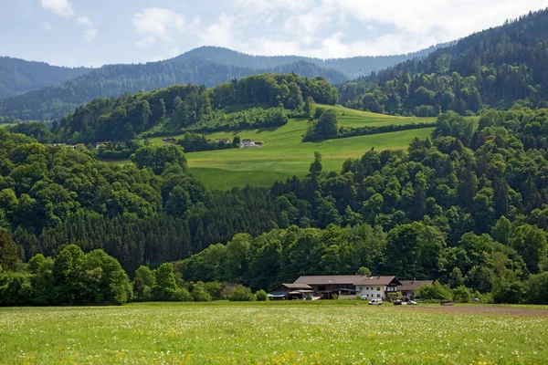 Typische Tiroler Landschaft Mai Österreich — Stockfoto