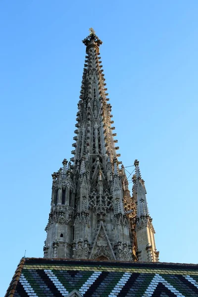 Stephansdom Catedral Santo Estêvão Detalhes Decoração Viena Áustria — Fotografia de Stock