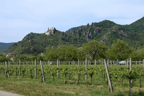 丘の上 オーストリアにダーンスタイン要塞 — ストック写真
