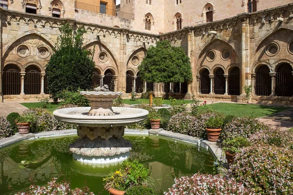Cloister Tarragona Cathedral Catalonia Spanya — Stok fotoğraf