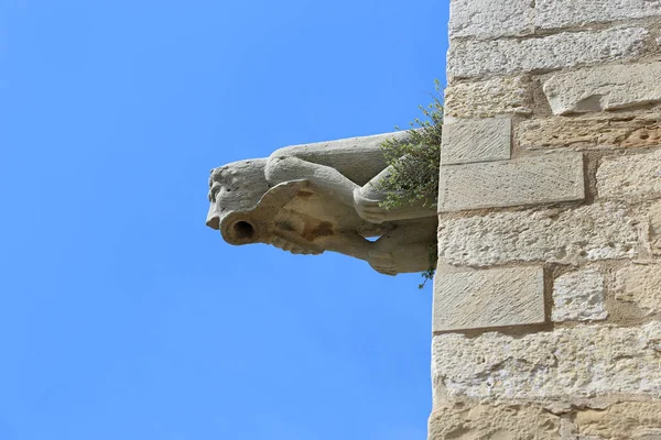 Gargoyle Kyrkan Santa Maria Montblanc Town Katalonien Spanien — Stockfoto