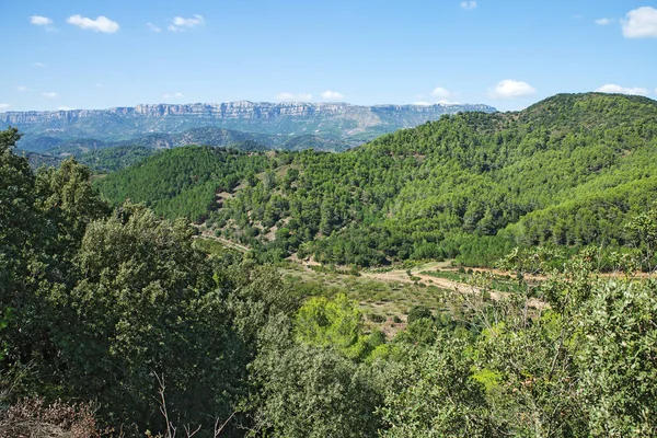 Paisagem Uma Estrada Siurana Uma Aldeia Montanhosa Famosa Município Cornudella — Fotografia de Stock