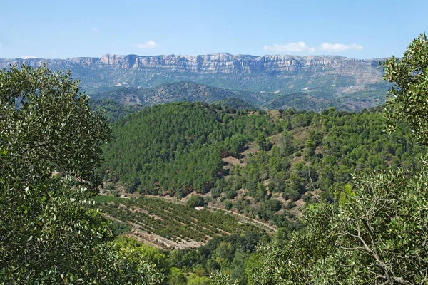 Paesaggio Una Strada Siurana Famoso Villaggio Altopiano Del Comune Della — Foto Stock