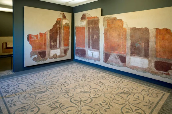 Rzym Włochy Styczeń 2020 Starożytna Mozaika Freski Wystawie Narodowego Muzeum — Zdjęcie stockowe