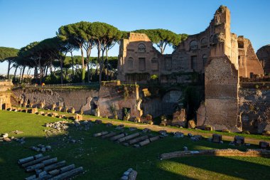 İtalya, Roma 'daki Palatine Hill' deki Domitian harabeleri stadyumu