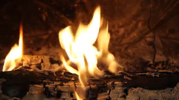 关闭在炉子里燃烧的木材 — 图库视频影像