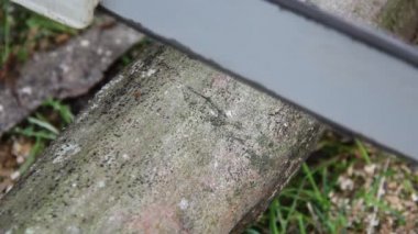 eylem kesme Ahşap testere, yakın çekim 