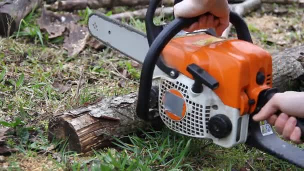 Close Van Kettingzaag Actie Snijden Hout — Stockvideo