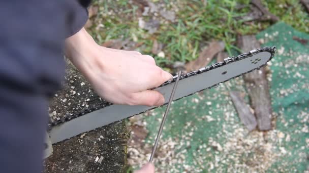 Close Man Hands Sharpening Chain Chainsaw File — Stock Video