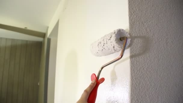 Mujer Joven Pintando Pared Con Rodillo Pintura Pintura Blanca — Vídeos de Stock