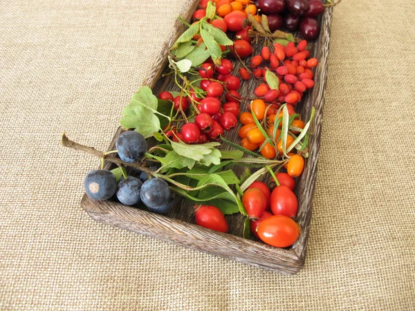 Wild Fruits Wooden Box Barberries Cornelian Cherries Sea Buckthorn Fruits — Stock Photo, Image