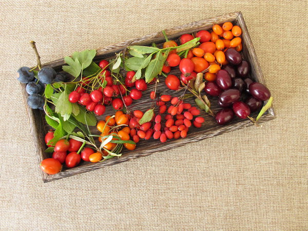 Дикие фрукты в деревянной коробке с ягодами, вишней, фруктами из облепихи, шиповника, фруктами и ягодами боярышника
 