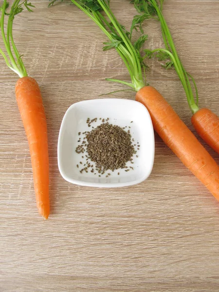 Karottensamen Und Karotten — Stockfoto