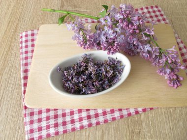 Eflatun çiçekler ve Lila dal kurutulmuş