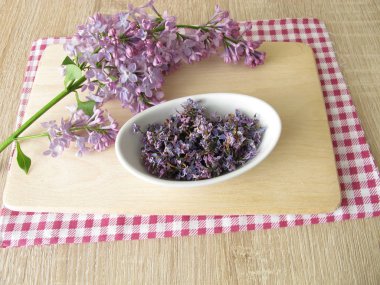 Eflatun çiçekler ve Lila dal kurutulmuş