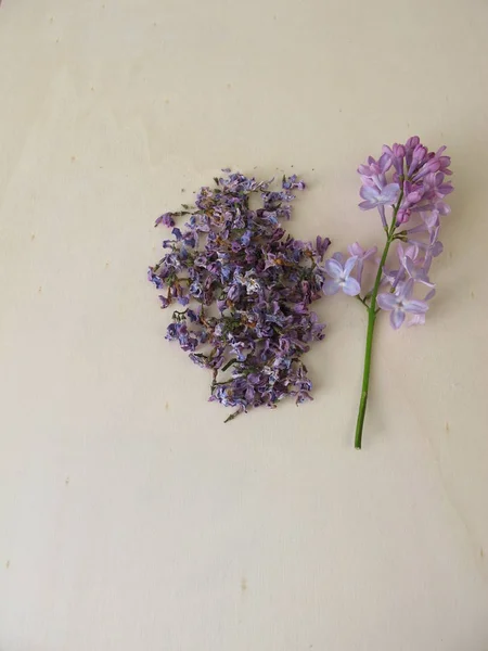 Flores Lila Secas Sobre Tabla Madera —  Fotos de Stock