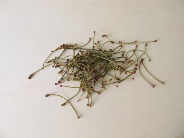Alternatif tıpta kiraz sapları kurutulmuş