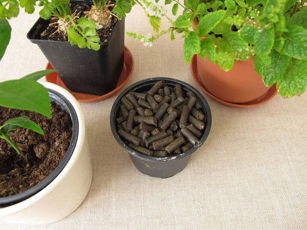 Pellets Estrume Cavalo Para Plantas Fertilizantes Imagens Royalty-Free