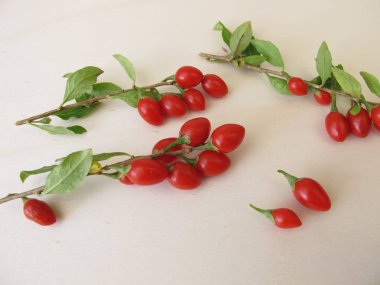 Taze hasat Goji çilek, ahşap tahta üzerinde Wolfberry