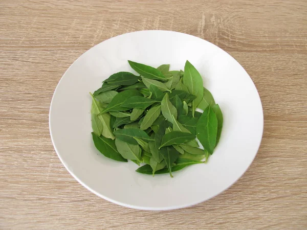 Fresh Goji Leaves Plate — Stock Photo, Image