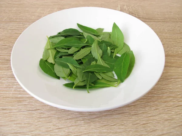 Feuilles Goji Fraîches Sur Assiette — Photo