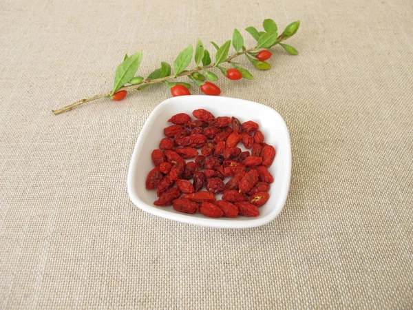 Dried Goji Berries Wolfberry — Stock Photo, Image